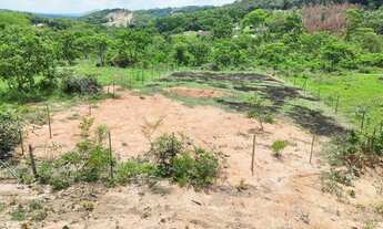 Imagem 3: Vendo terreno para sítio mil metros