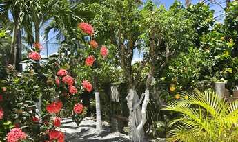 Imagem 6: Casa Ponta de Serrambi - Temporada - Alugo