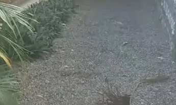 Imagem: Otima Casa Nas imediações do Colegio Souza