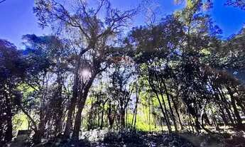 Imagem 2: TERRENO/LOTE EM PASSO FUNDO NO BOSQUE LUCAS ARAUJO