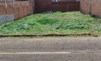 Imagem 2: Terreno alvorada