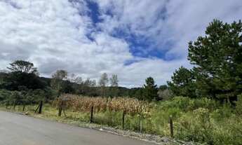 Imagem 3: Terreno - Bairro Caracol