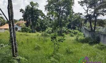 Imagem 3: TERRENO - BAIRRO DO TIJUCO PRETO - SP