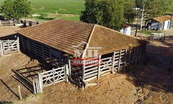 Imagem 3: Fazenda 2000 Hectares Jaiba - MG