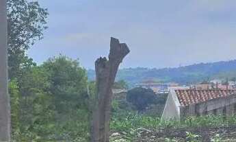 Imagem 3: TERRENO - VILA SONIA - SP