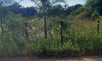 Imagem 3: Terreno de 2.200m² Proximo ao Morada Nobre e Morro da Capelinha