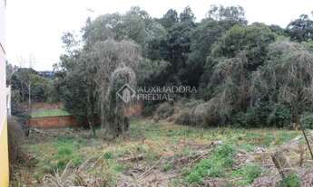 Imagem 3: Terreno no bairro Cinqüentenário