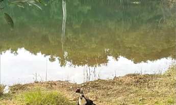 Imagem 3: Lote no Corumbá IV (escriturado