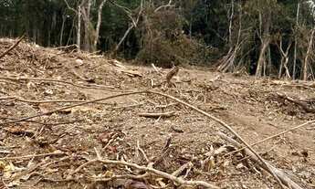 Imagem 6: Terreno de 1.000m² à venda na divisa de São Roque por a partir de R$100 mil