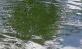 Imagem 4: Chácara de lazer em Caturaí GO