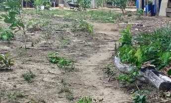 Imagem 2: Sítio no Rio Preto da Eva km 116 Am 010