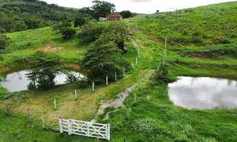 Imagem: Sitio 12,4 alqueires Região de São Pedro