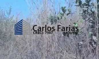 Imagem 2: Chácara para Venda em Brasília, Setor Habitacional Jardim Botânico