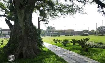 Imagem 5: Terreno Residencial em Sans Souci