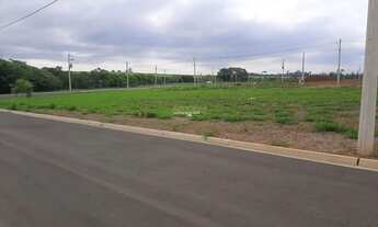 Imagem 3: Terreno à venda, Bela Vida, Saltinho - (Código TE00833