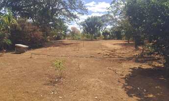 Imagem 5: Chácara em Nova Veneza