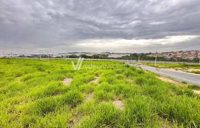 Imagem 6: Terreno Plano à Venda, localizado no Condomínio Terrassos em Paulínia