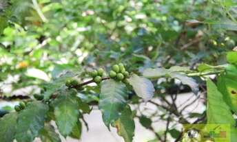 Imagem 7: Apto vila sao francisco