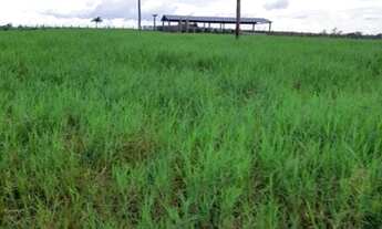 Imagem: 50 hectares 80 pasto no Pará pronta por
