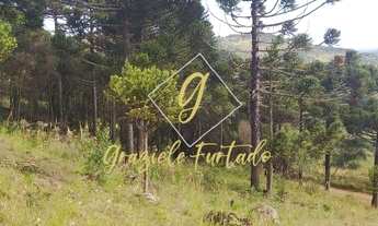 Imagem 4: TERRENO RURAL COM VISTA PRIVILEGIADA NO MUNÍCIPIO DE URUPEMA - SC