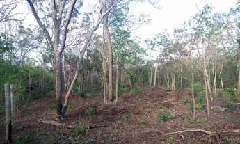 Imagem 3: Terreno Terreno / lote com venda por R$17.000