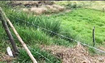 Imagem 3: Oportunidade: Dois lotes pelo preço de um no residencial São Luiz