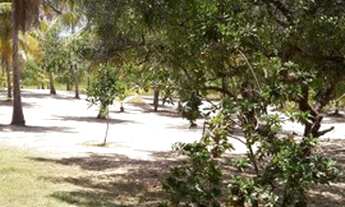 Imagem 7: Sítio São José