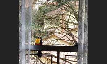 Imagem 3: Apartamento 2 dorm, 56 mt, com 2 sacadas, prox ao Shopping Campo Limpo