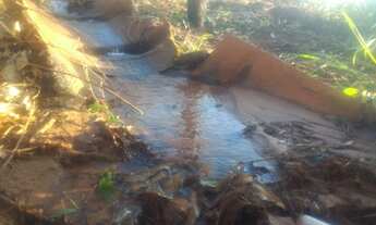 Imagem 4: Chácara com #10 mil mts2