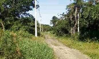 Imagem 3: Lote em Iguape $10,000 a vista