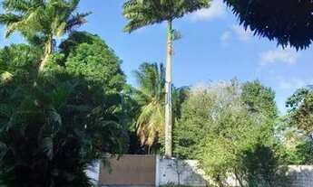 Imagem 3: Área à venda no bairro Centro - Parnamirim/RN