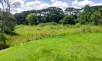 Imagem 3: Chácara com 4 dormitórios à venda, 43000 m² por R$ 6.500.000 - São Braz - Curitiba/PR