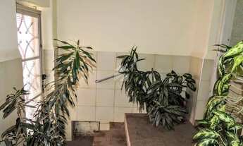 Imagem 2: Casa - Centro - Campinas