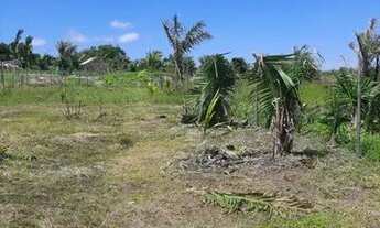 Imagem 4: Dois Terrenos 10x30 na estrada da Raposa
