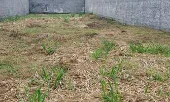 Imagem 5: EXCELENTE TERRENO EM PIABETÁ