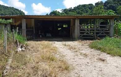 Imagem 7: Sítio em Juquiá