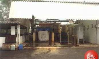 Imagem 3: São Paulo - Galpão/Depósito/Armazém - Itaquera