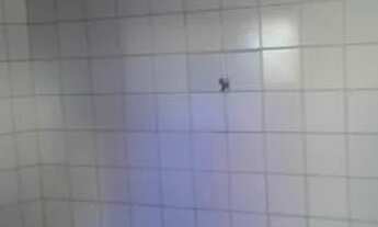 Imagem 4: Aluga-se kinet em Parnamirim