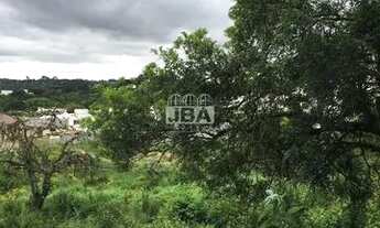 Imagem 7: Terreno - Abranches