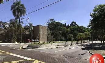 Imagem 7: São Paulo - Terreno Padrão - Tucuruvi