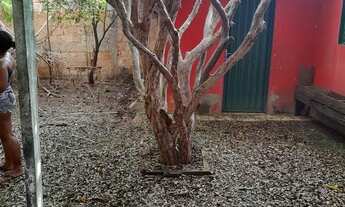 Imagem 4: Vende-se Casa muito boa