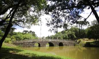 Imagem 4: Terreno para Venda no bairro Jardim Eldorado em Caxias Do Sul