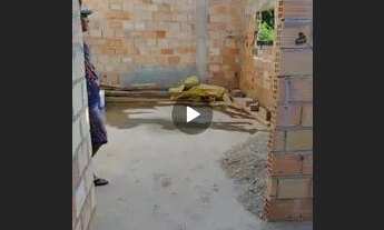 Imagem 4: Lote Casa com 1 banheiro