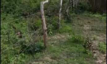 Imagem 2: Vendo terreno em Sobradinho