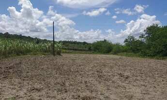 Imagem 3: Sítio em goiana