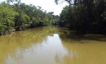 Imagem 3: Fazenda 553 Hectares valor 4.500.000 entre o município de Buritis mg município arinos mg