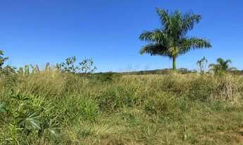 Imagem 5: Chácara em Bonfinópolis - 9.000m2