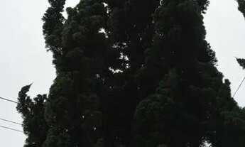 Imagem 3: Casa de Condomínio venda. Com 230 metros quadrados e 3 quartos em Real Park Mogi