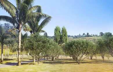 Imagem 6: Fazendas de 20.000m2 em Condomínio Maravilhoso Perto de Belo Horizonte