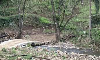 Imagem 5: Sítio / Chácara para Venda em Nova Petrópolis, Linha Pirajá Baixa, 2 dormitórios, 1 banhei